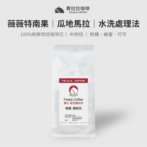 【半磅】瓜地馬拉 薇薇特南果 中烘焙 咖啡豆
